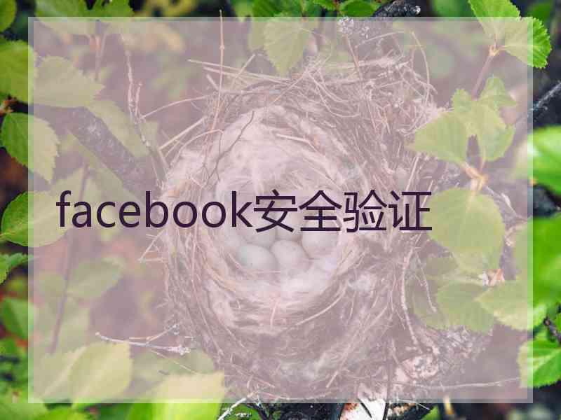 facebook安全验证