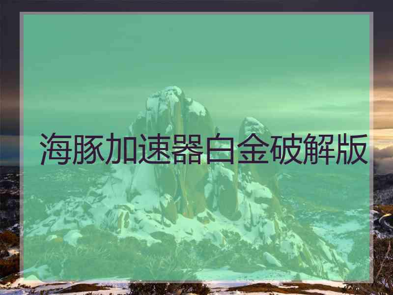 海豚加速器白金破解版