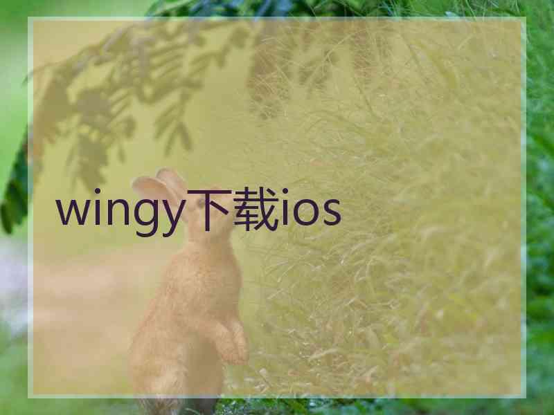 wingy下载ios