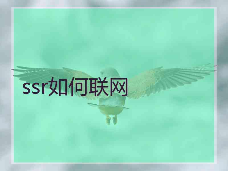 ssr如何联网