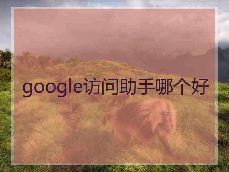 google访问助手哪个好