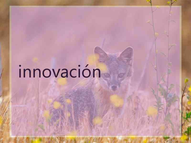 innovación