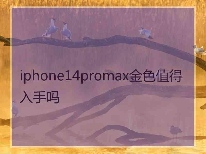 iphone14promax金色值得入手吗