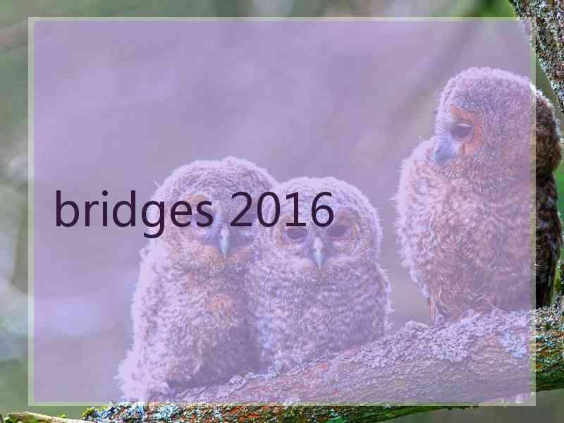 bridges 2016