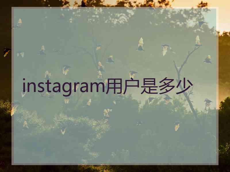 instagram用户是多少