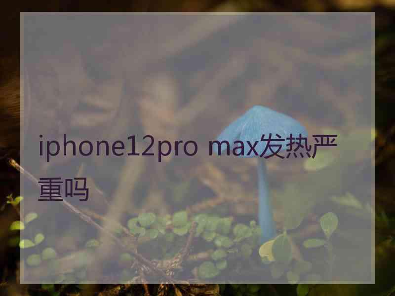 iphone12pro max发热严重吗