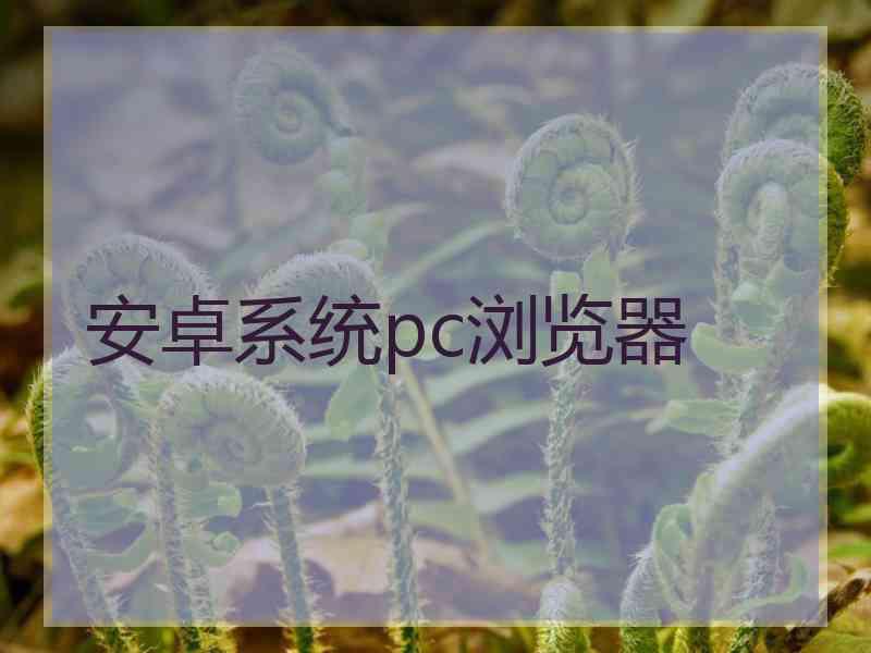 安卓系统pc浏览器