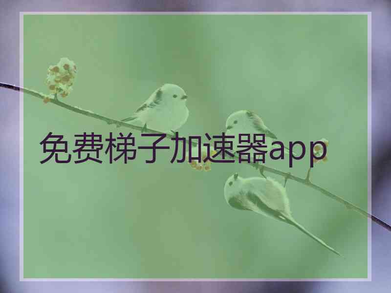 免费梯子加速器app