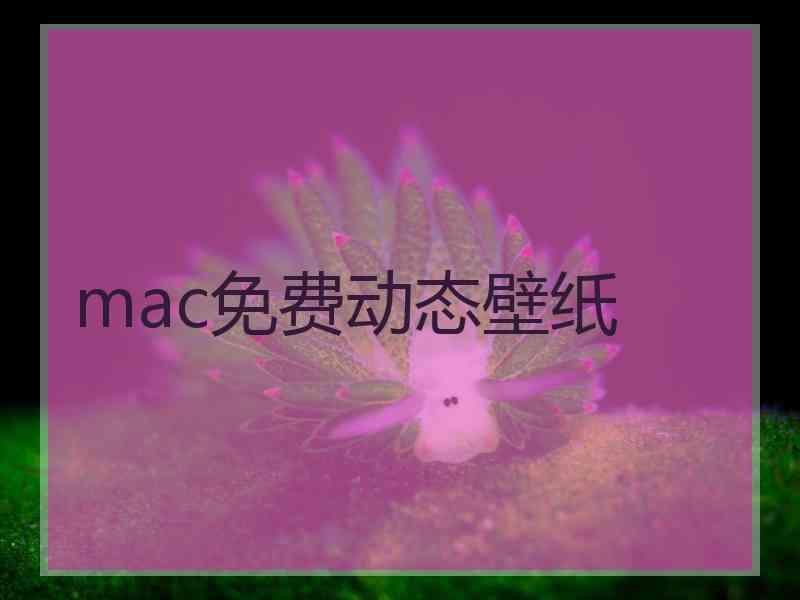 mac免费动态壁纸