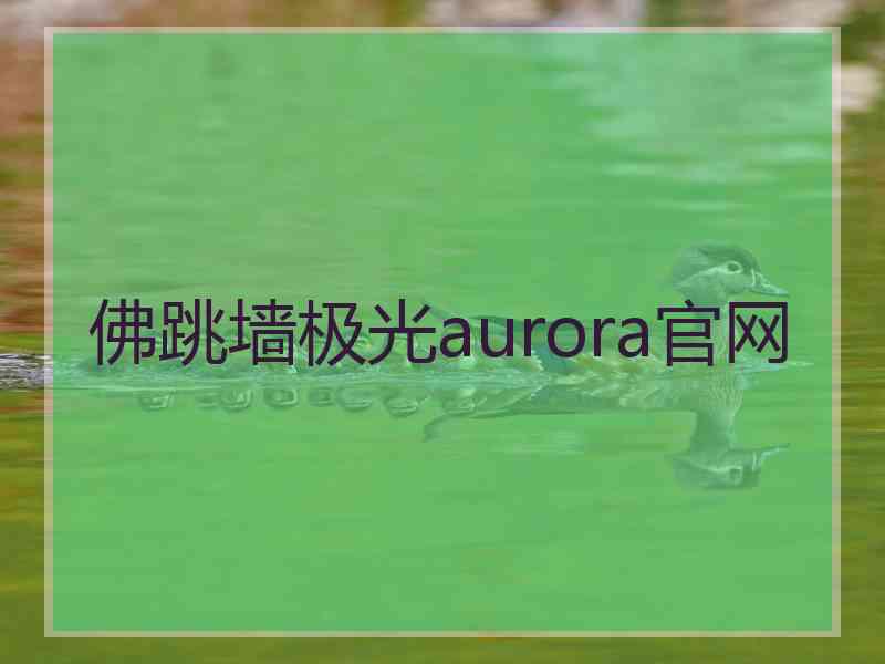 佛跳墙极光aurora官网