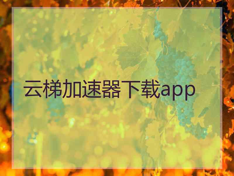 云梯加速器下载app