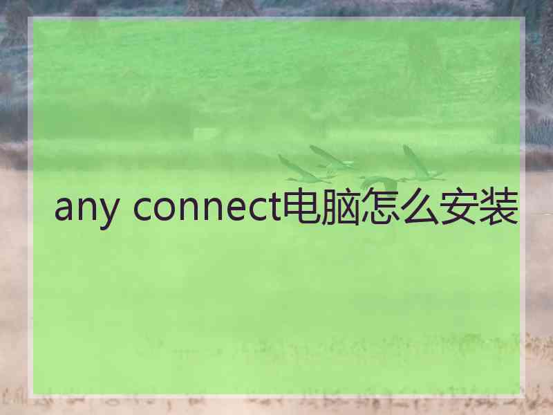 any connect电脑怎么安装