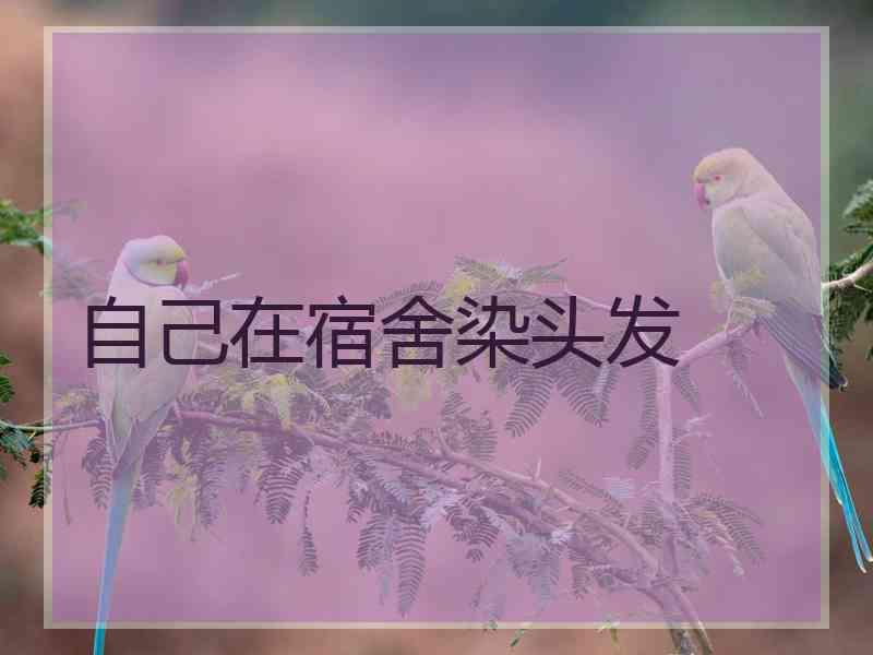 自己在宿舍染头发