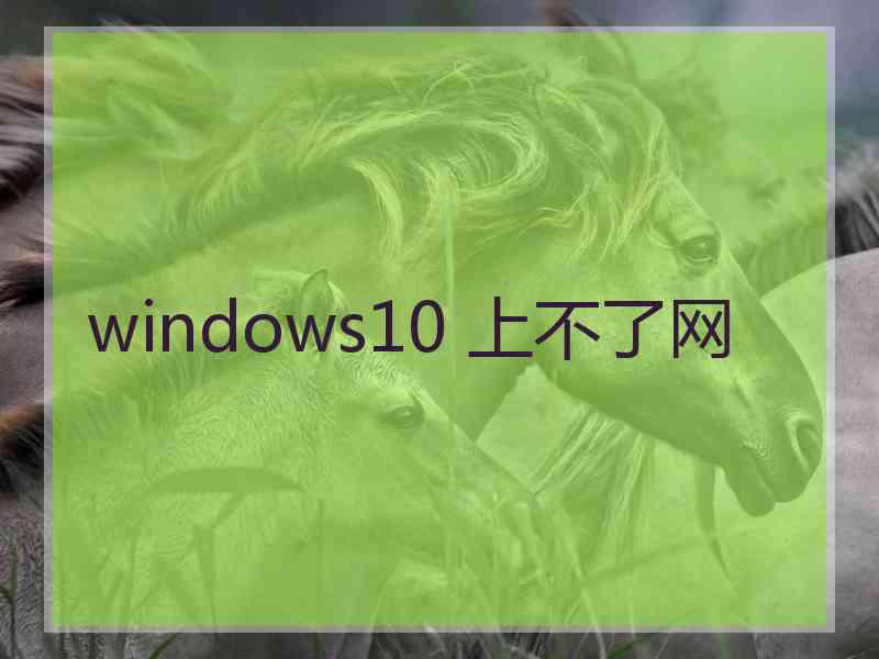 windows10 上不了网