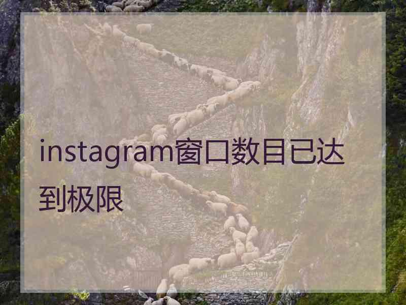 instagram窗口数目已达到极限