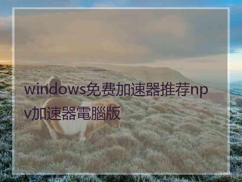 windows免费加速器推荐npv加速器電腦版