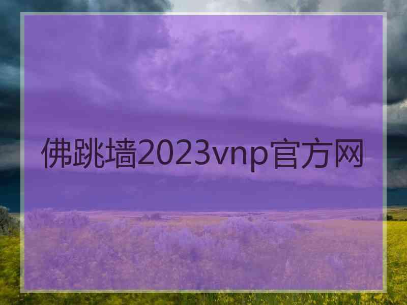 佛跳墙2023vnp官方网