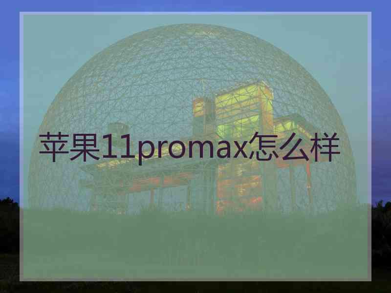 苹果11promax怎么样