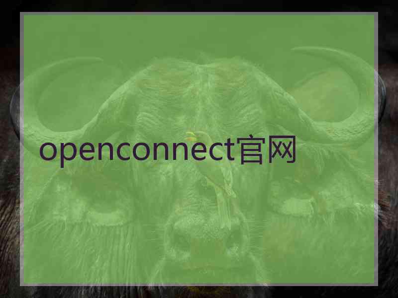 openconnect官网