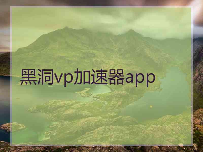 黑洞vp加速器app