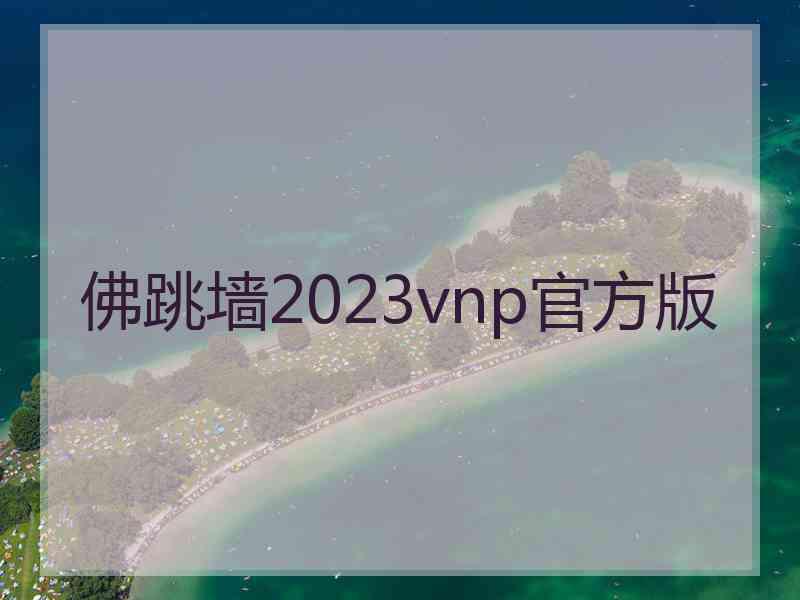 佛跳墙2023vnp官方版