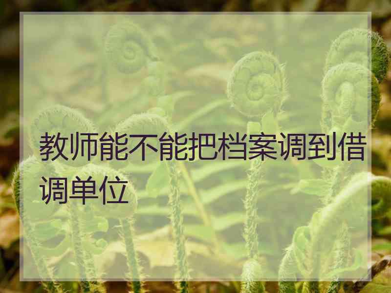 教师能不能把档案调到借调单位