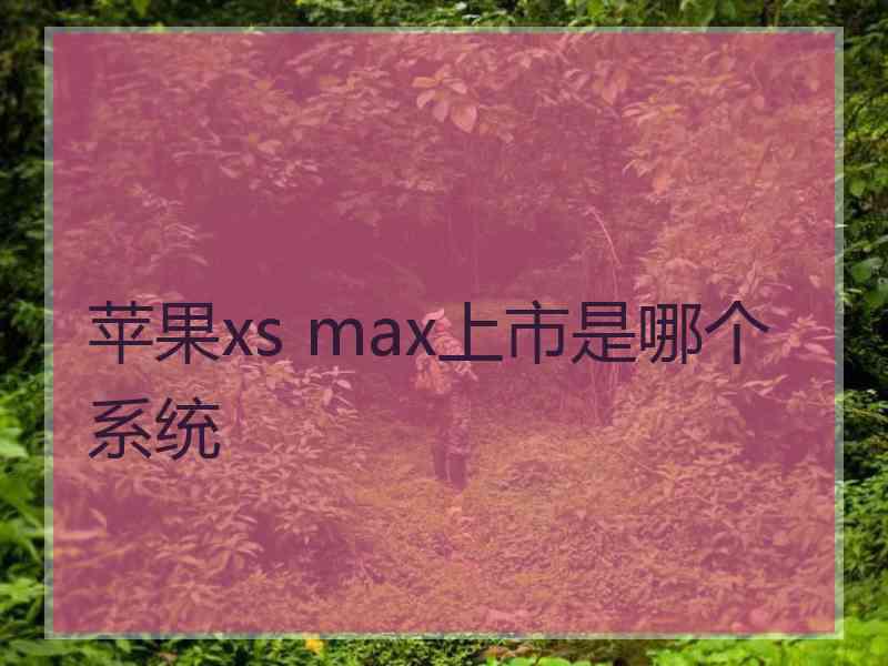 苹果xs max上市是哪个系统