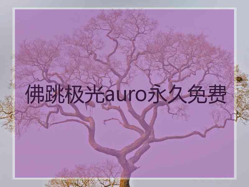 佛跳极光auro永久免费