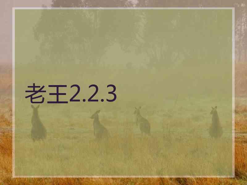 老王2.2.3