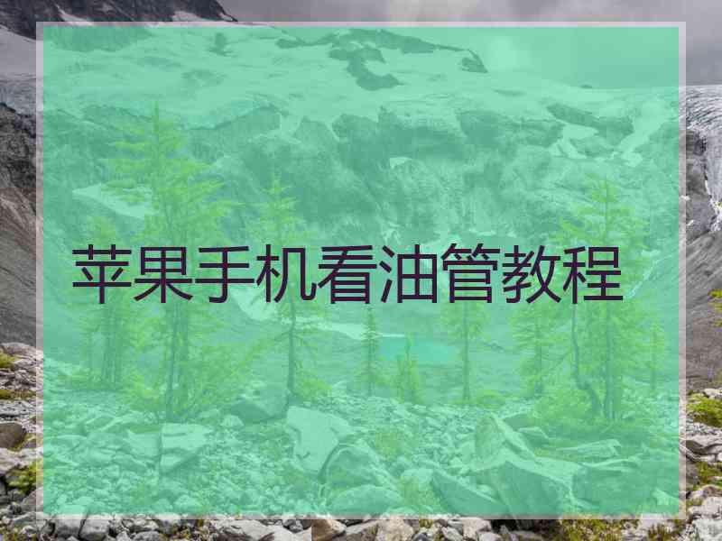 苹果手机看油管教程