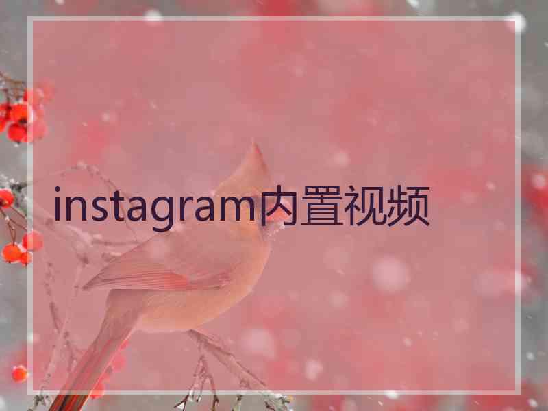 instagram内置视频