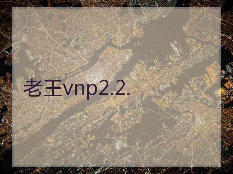 老王vnp2.2.