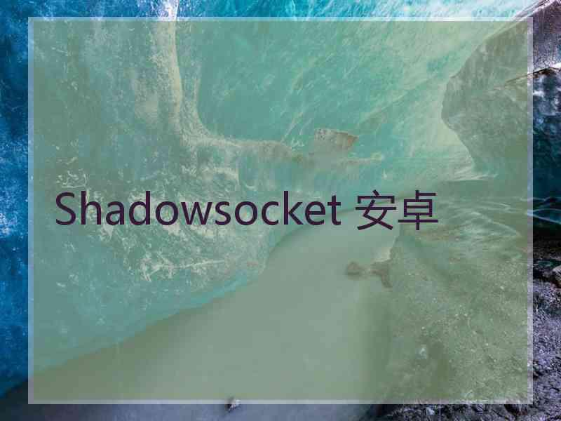 Shadowsocket 安卓