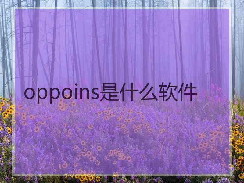 oppoins是什么软件