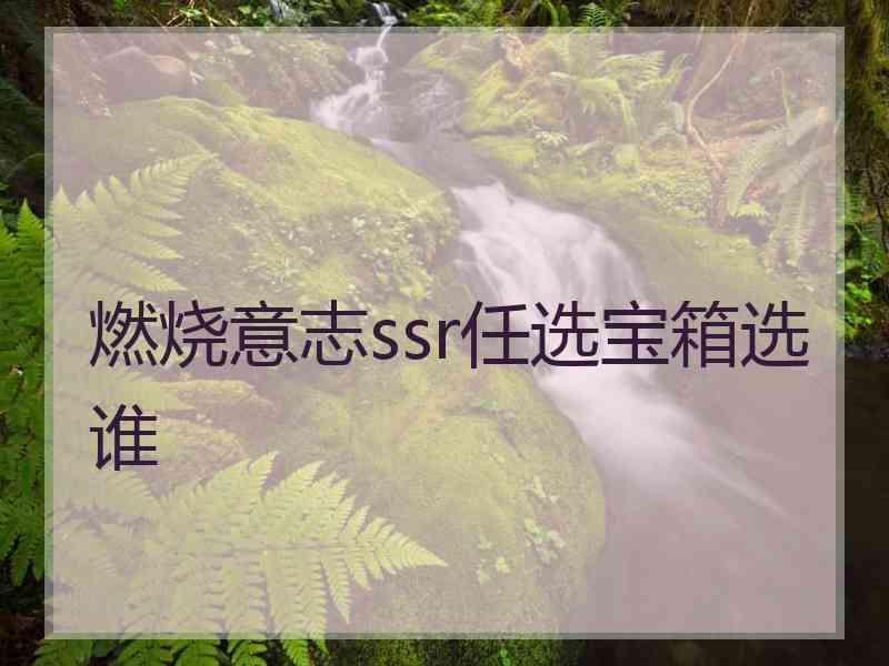 燃烧意志ssr任选宝箱选谁