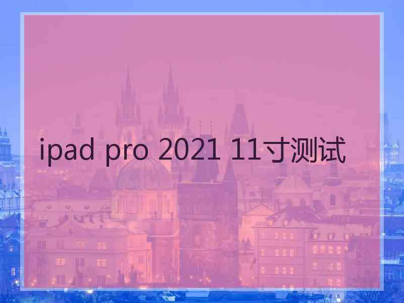 ipad pro 2021 11寸测试