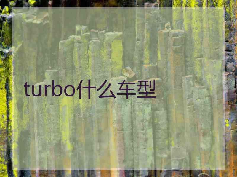 turbo什么车型