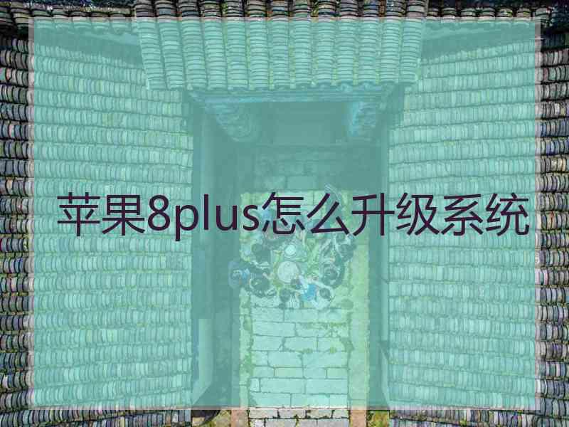 苹果8plus怎么升级系统