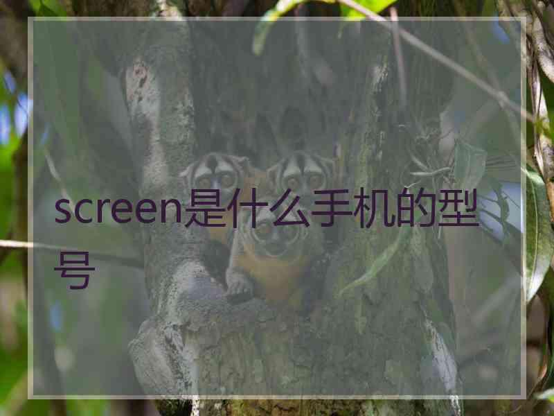 screen是什么手机的型号