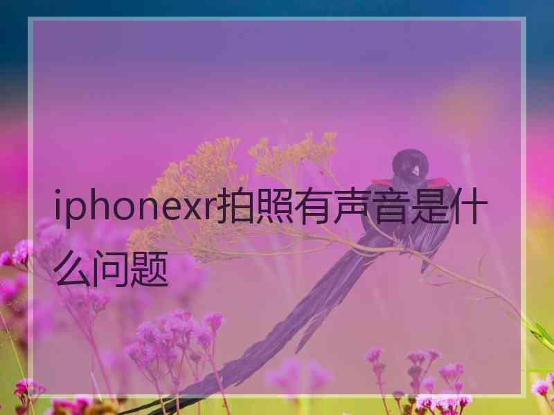 iphonexr拍照有声音是什么问题