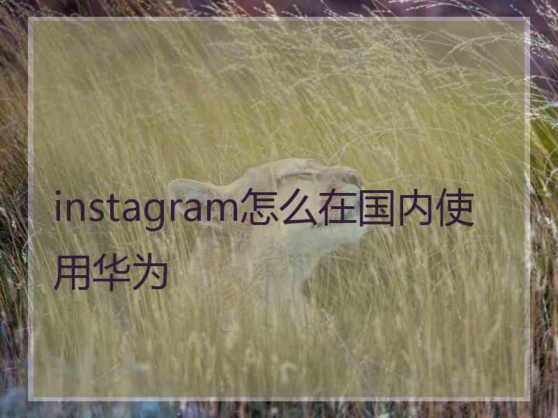 instagram怎么在国内使用华为