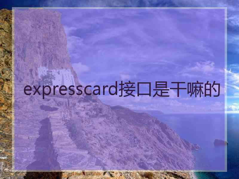 expresscard接口是干嘛的