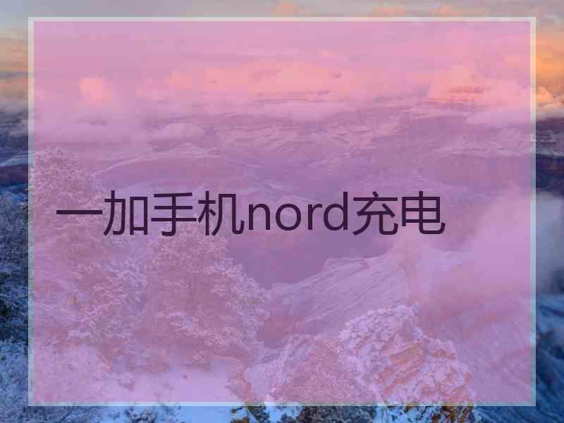 一加手机nord充电