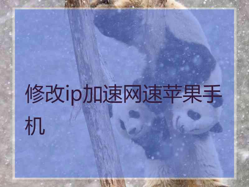 修改ip加速网速苹果手机