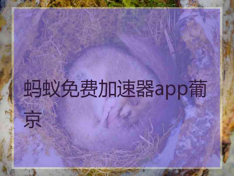 蚂蚁免费加速器app葡京