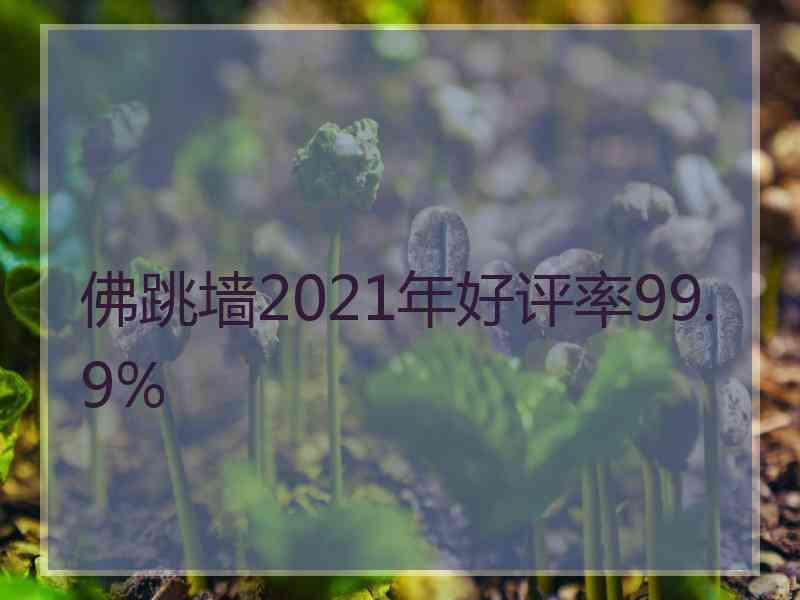 佛跳墙2021年好评率99.9%