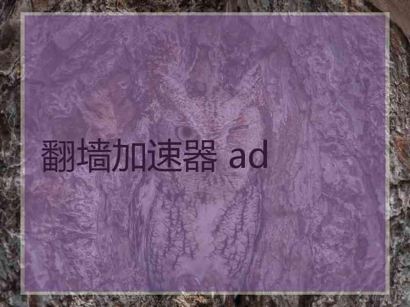 翻墙加速器 ad