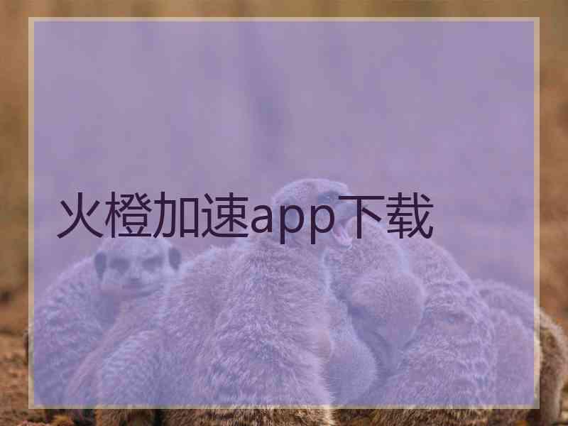 火橙加速app下载