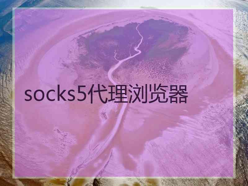 socks5代理浏览器