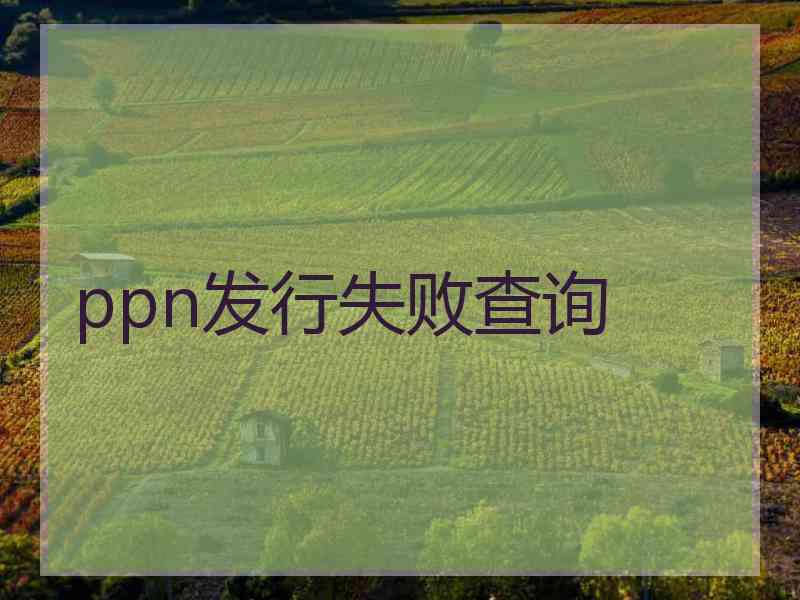 ppn发行失败查询